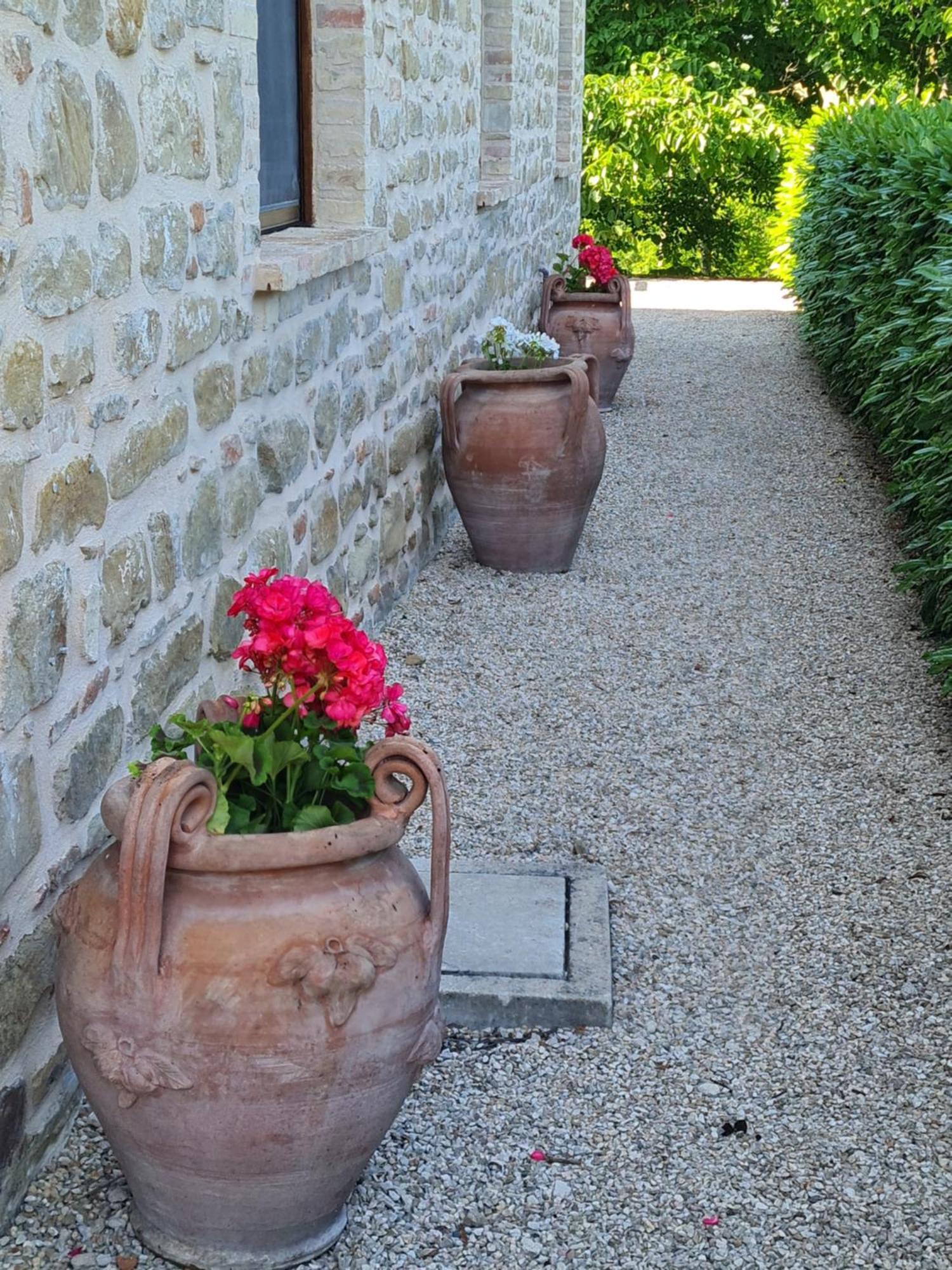 La Mela Rosa Bed & Breakfast Amandola 外观 照片